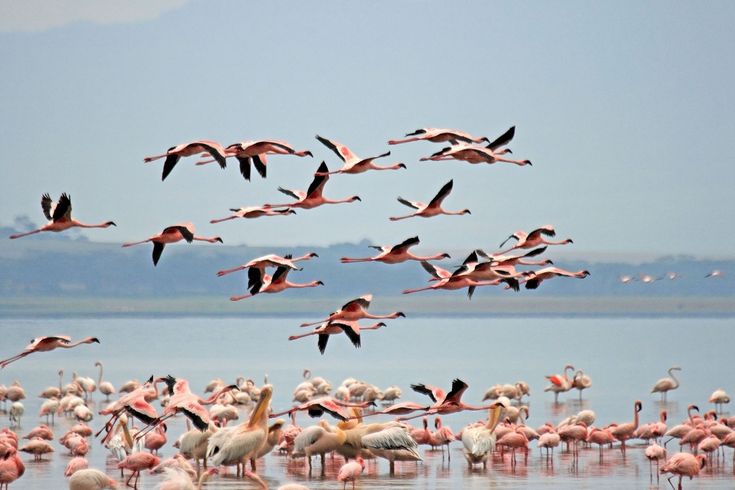 2 Days The Cliff Nakuru Luxury Retreat