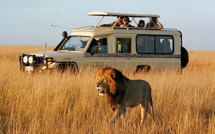 8 Days Discover Namibia Safari