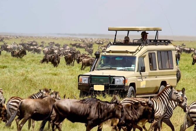 3 Days Maasai Mara Migration Group Safari